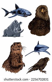 Graphical big color set of animals isolated on white,vector elements for design,books and printing
