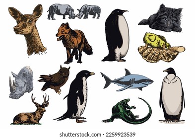 Graphical big color set of animals isolated on white,vector elements for design,books and printing
