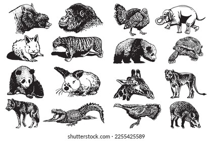 Graphical big set of animals isolated on white background,vector illustration. Zoology. Elements for design