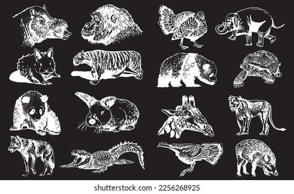 Graphical big set of animals isolated on black background,vector engraved illustration. Zoology. Elements for design