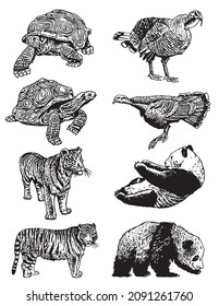 Graphical big set of animals on white,vector illustration