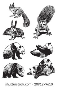 Graphical big set of animals on white,vector illustration