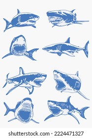 Graphical big set of blue sharks and jaws isolated on white background,vector elements , great white shark