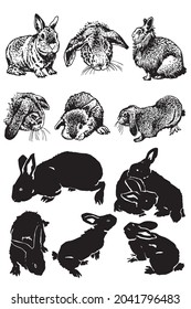 Graphical big set of bunnies isolated on white, domestic animals for design,tattoo ,coloring anf typography 