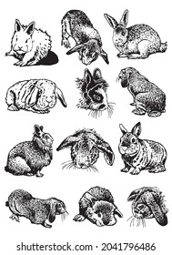Graphical big set of bunnies isolated on white, domestic animals for design,tattoo ,coloring anf typography 
