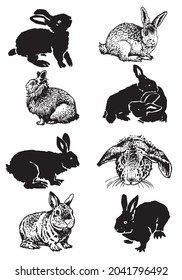 Graphical big set of bunnies isolated on white, domestic animals for design,tattoo ,coloring anf typography 