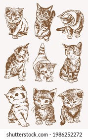 Graphical  big set of cats, vintage illustration