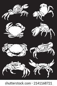Graphical big set of crabs isolated on black background,vector engraved elements sea - food