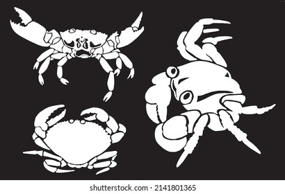 Gran conjunto gráfico de cangrejos aislados en fondo negro, elementos vectoriales grabados mar - comida