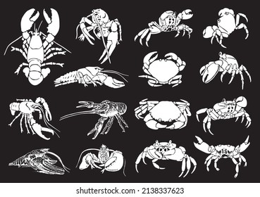 Graphical big set of crabs and lobsters isolated on black background,vector engraved  elements sea - food