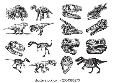 Graphical big set of dinosaurs isolated on white background,vector illustration