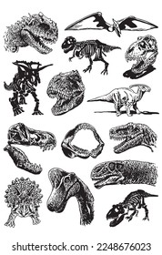 Graphical big set of dinosaurs isolated on white background, vector illustration.