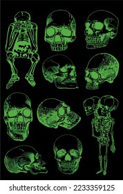 Graphical big set of green skeletons and human skulls isolated on black,vector color illustration. Human fossils. Anatomy