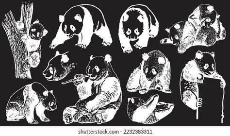 Gran conjunto gráfico de pandas aislados en ilustración negra vectorial. Animal asiático