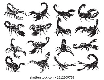 Graphical big set of scorpions isolated on white background,vector illustration for tattoo and design