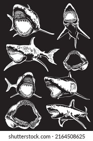 Graphical big set of sharks and jaws isolated on black background,vector elements , great white shark