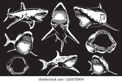 Graphical big set of sharks and jaws isolated on black background,vector elements , great white shark