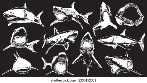 Graphical big set of sharks and jaws isolated on black background,vector elements , great white shark