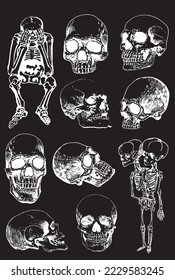 Graphical big set of skeletons and human skulls isolated on black,vector illustration. Human fossils. Anatomy