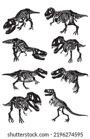 Graphical big set of skeletons of tyrannosaurus isolated on white background,vector illustration