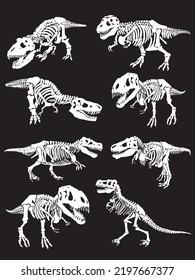Graphical big set of skeletons of tyrannosaurus isolated on black background,vector illustration