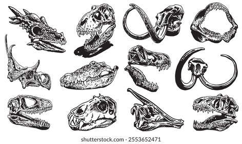 Graphical big set of skulls of dinosaurs , crocodile and mammoth on white background, vector illustration