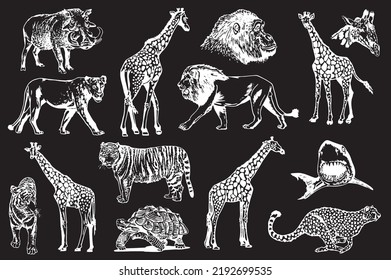 Graphical big set of wild African animals isolated on black, vector engraved illustration.Aquatic and savanna animals