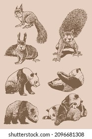 Graphical big vintage set of animals ,vector illustration