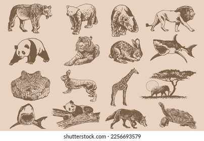 Graphical big  vintage set of animals on sepia background,vector  illustration. Zoology