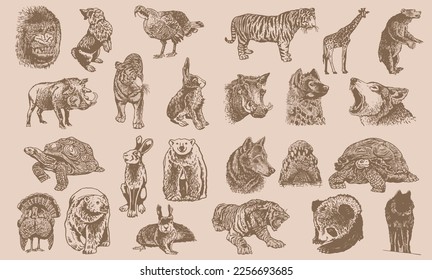 Graphical big  vintage set of animals on sepia background,vector  illustration. Zoology