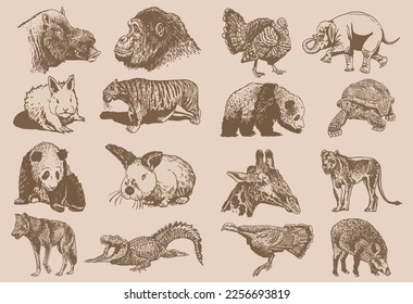 Graphical big  vintage set of animals on sepia background,vector  illustration. Zoology