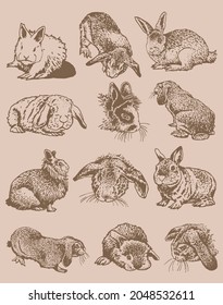 Graphical big vintage set of bunnies , domestic animals for design,art and  typography 