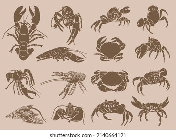 Graphical big vintage set of crabs and lobsters , sepia background,vector elements sea - food