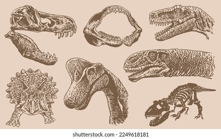 Graphical big vintage set of dinosaurs on sepia background, vector illustration.Fossils