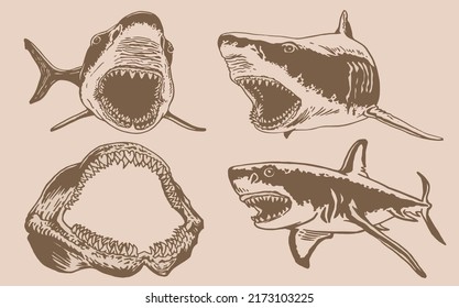 Graphical big vintage set of sharks and jaws , sepia background,vector elements , great white shark	