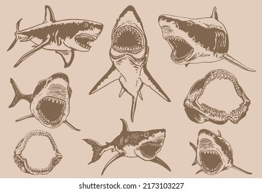 Graphical big vintage set of sharks and jaws , sepia background,vector elements , great white shark	