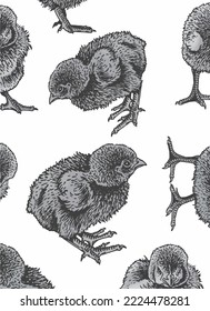 Graphical black and white  vertical pattern, newborn chicks cover for fabric, postcards, wallpapers,graphical vector illustration. Poultry background design