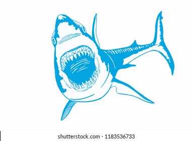 Graphical blue color shark isolated on white background,vector sketchy drawing for printing and tattoo