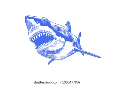 Graphical blue shark isolated on white background, vector colour illustration, tattoo