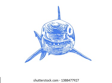 Graphical blue shark isolated on white background,vector colour illustration,tattoo