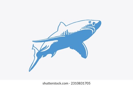 Graphical blue  shark with sharp teeth isolated on white, megalodon portrait. Vector color illustration of underwater hunter