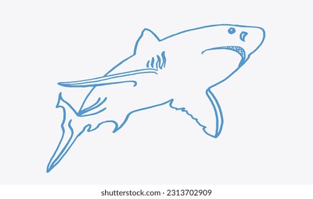 Graphical blue  sketch of shark with sharp teeth, megalodon portrait. Vector color illustration of underwater hunter