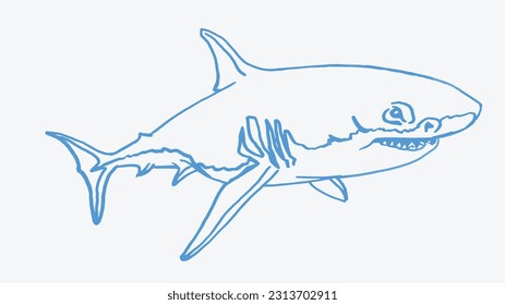 Graphical blue  sketch of shark with sharp teeth, megalodon portrait. Vector color illustration of underwater hunter