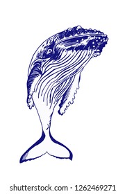 Graphical blue whale isolated on white background,vector sketch
