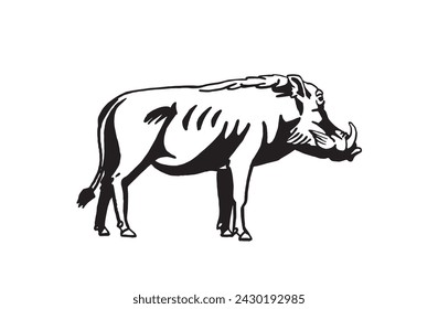 Graphical boar isolated on white background, vector ink pen illustration
