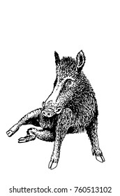 Graphical boar sitting isolated on white background,vector illustration