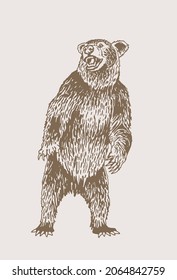 Graphical brown bear standing,African animal , color vector illustration	