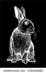 Graphical bunny isolated on black background,vector illustration,sketch