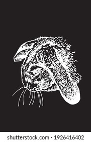 Graphical bunny on black background ,vector illustration for design and printing