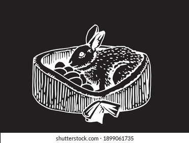 Graphical bunny sitting in box isolated on black background, vector 